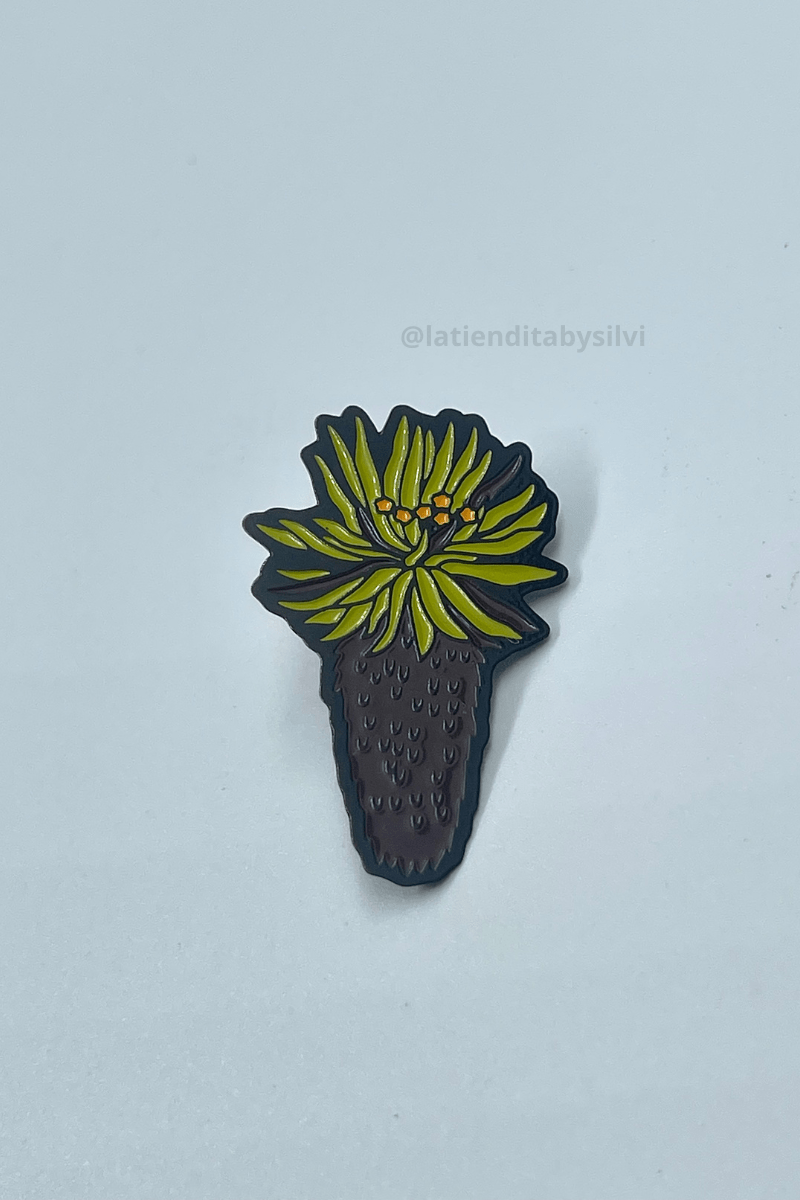 PIN SR. FRAI - PIXELCAMISETAS