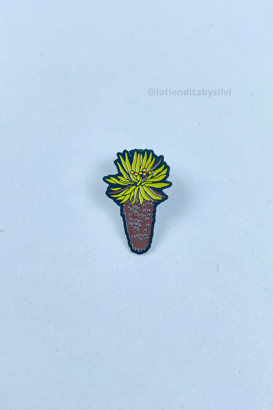 PIN SR. FRAI