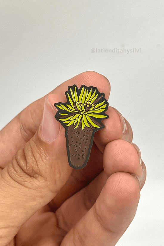 PIN SR. FRAI